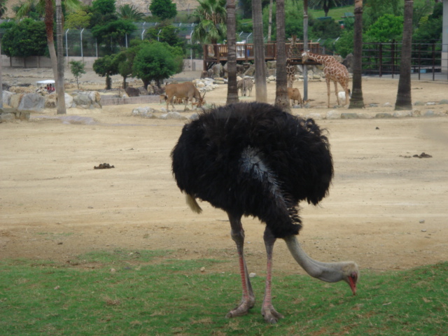c0100534_7561090.jpg