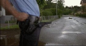 c0001339_872117.gif