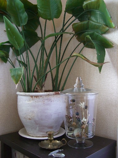 f0072846_2010827.jpg