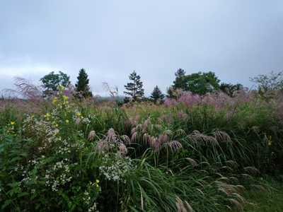 b0045357_8565463.jpg
