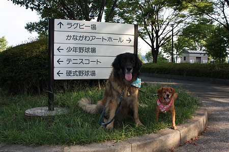 f0171559_0143832.jpg