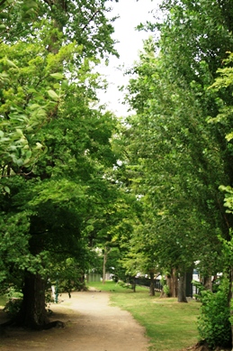 b0138661_1022216.jpg