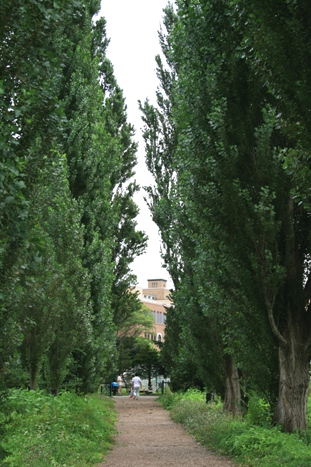 b0138661_10573137.jpg