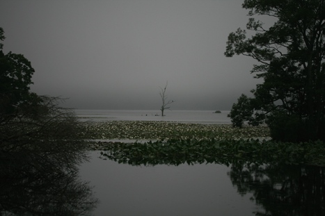 b0138661_12113920.jpg