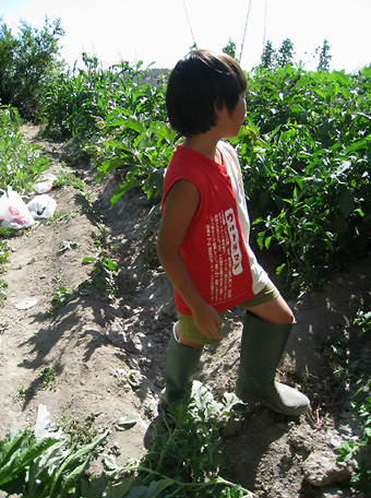 f0162861_1172894.jpg