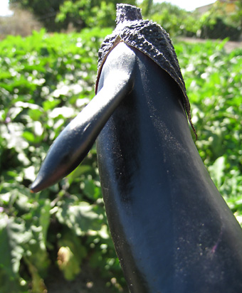 f0162861_1184868.jpg
