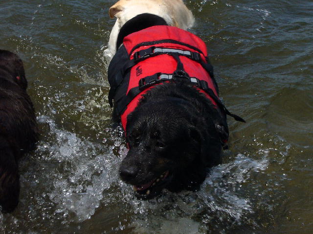 f0057565_22193478.jpg