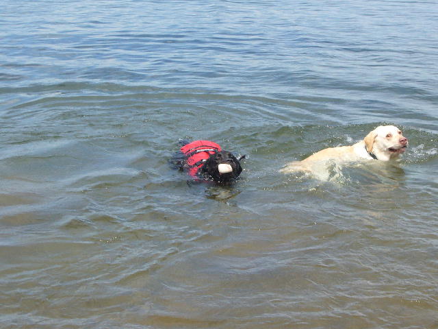 f0057565_22221294.jpg