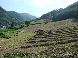 f0127866_1344459.jpg