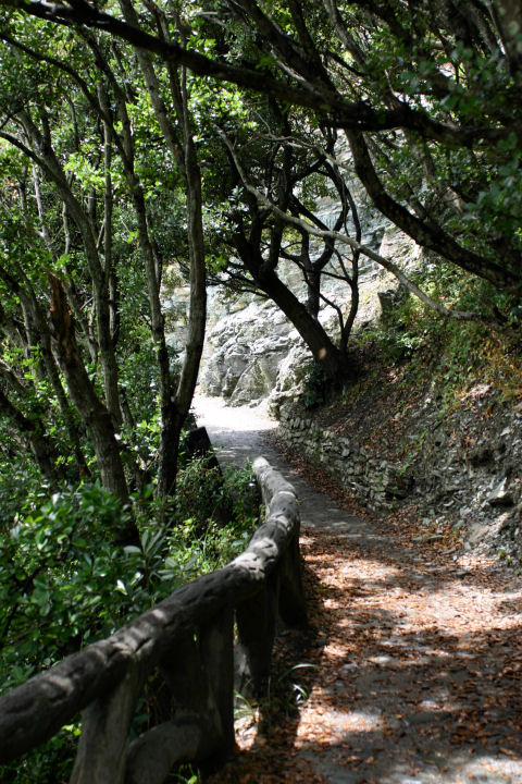 d0079373_12492914.jpg
