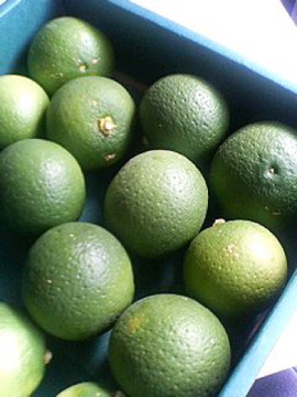 f0054677_8442959.jpg