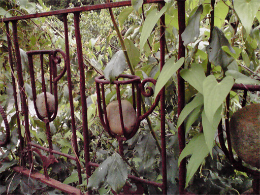 f0089079_3425417.jpg