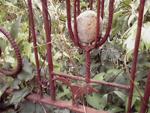f0089079_3431256.jpg
