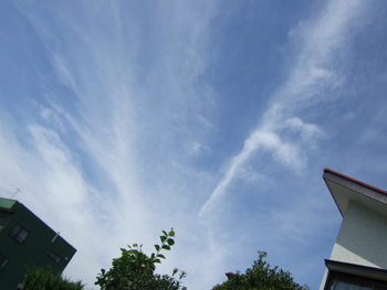 a0105480_12115986.jpg