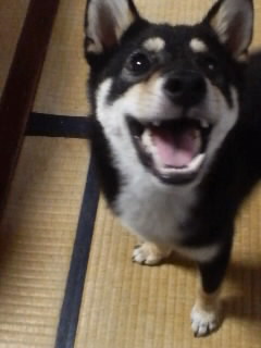 e0020782_16343484.jpg