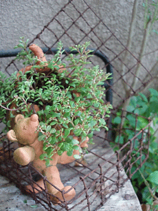 c0129702_0829100.gif