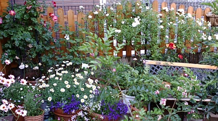 c0152002_1031662.jpg
