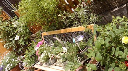 c0152002_1041570.jpg