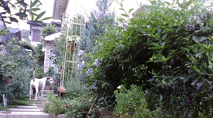 c0152002_1045846.jpg