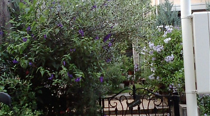 c0152002_1082579.jpg
