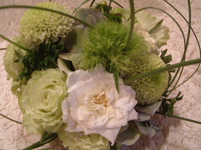 a0079803_225259.jpg