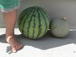 e0021705_2235265.jpg
