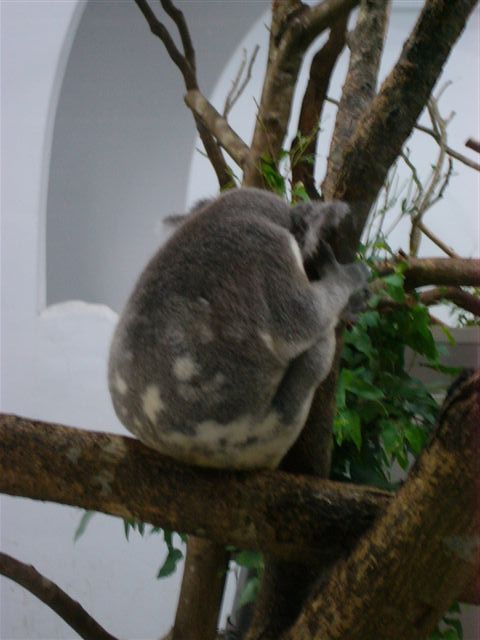 d0068807_10163477.jpg