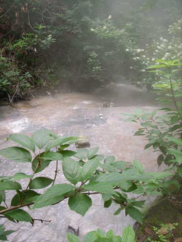 f0117707_23252720.jpg