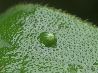 b0052108_17145639.jpg