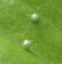 b0052108_176443.jpg
