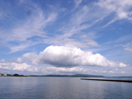 f0135908_2326255.jpg