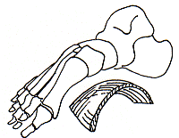 b0112009_11412219.gif