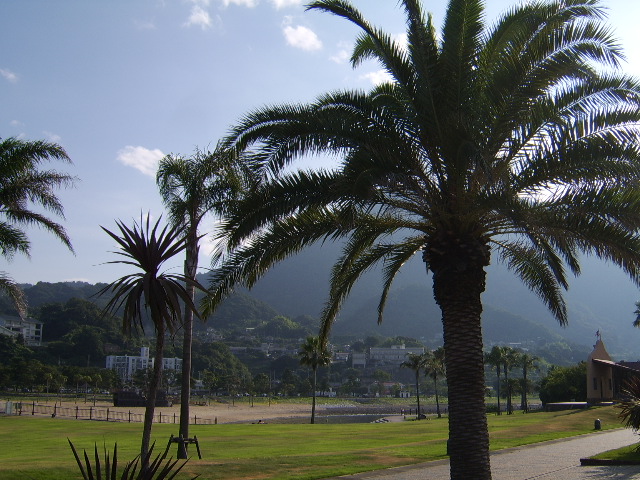 d0115609_16134264.jpg