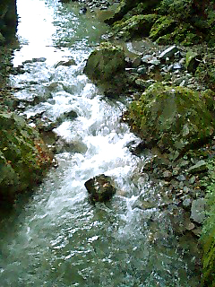 a0101715_151905.jpg