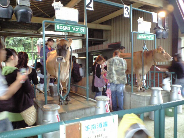 d0149615_83682.jpg