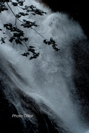 f0078127_16485634.jpg