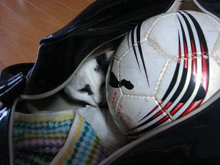 b0000829_1914218.jpg