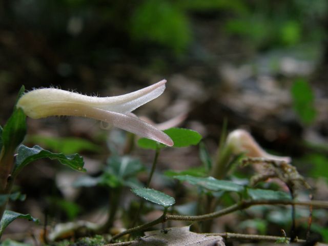 e0145033_20415945.jpg