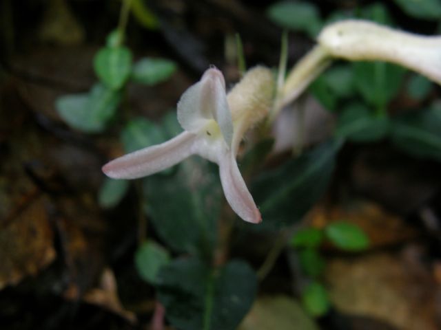 e0145033_2043371.jpg