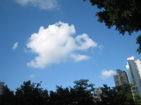e0018143_3283448.jpg