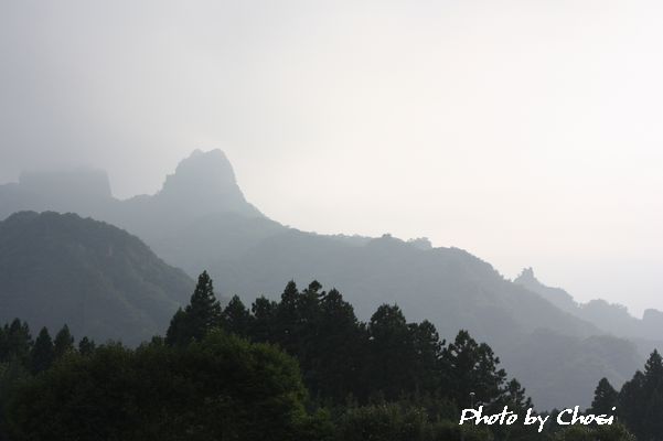c0004750_0173735.jpg