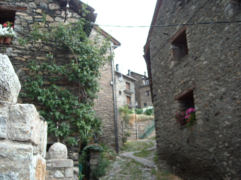 d0137658_23115771.jpg