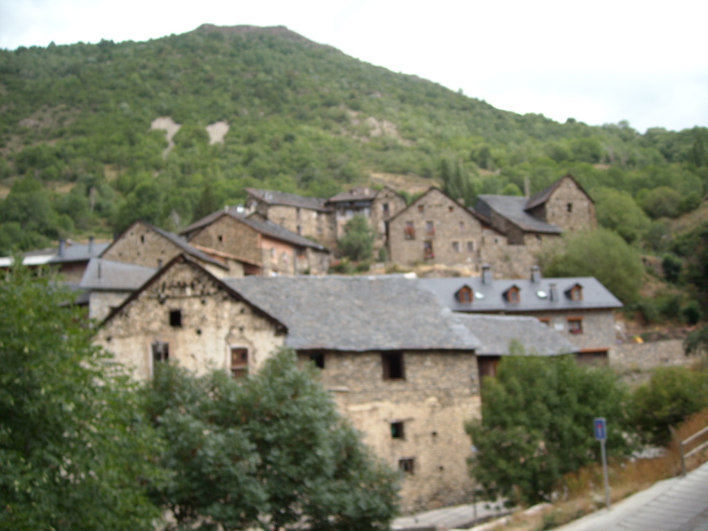 d0137658_235187.jpg