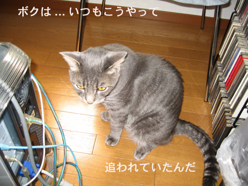 e0057361_130378.jpg