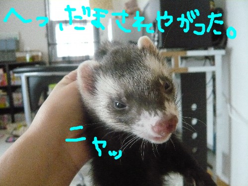 c0165472_234340100.jpg