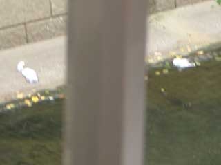 c0162773_1445185.jpg