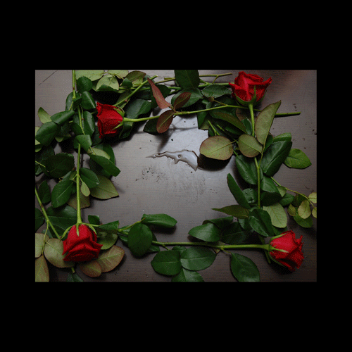b0143480_111972.gif