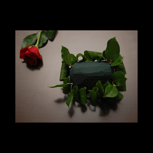 b0143480_141914.gif