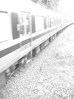 f0100480_2048269.jpg