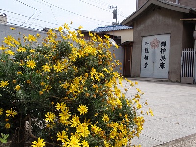 c0105785_9272137.jpg